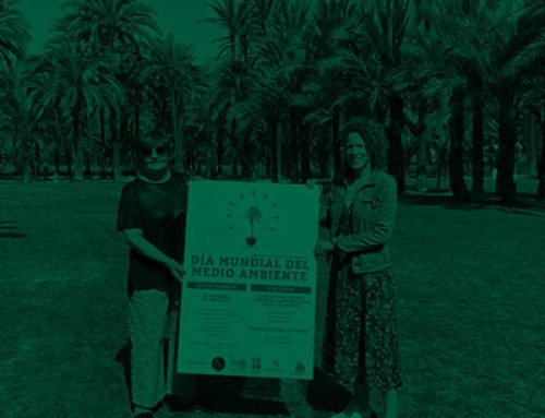 The Palmeral Grove of Orihuela once again hosts International Environment Day activities